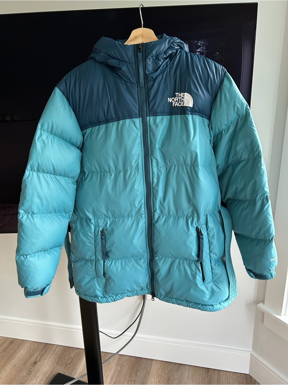 The North Face 700 Puffer Jacket